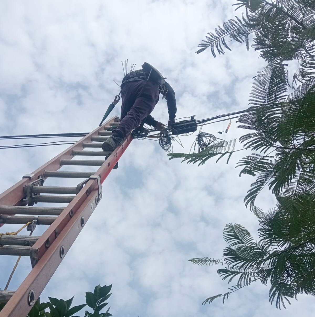 ftth